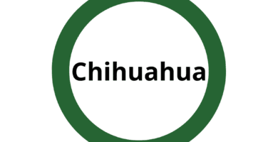 herbalife en Chihuahua
